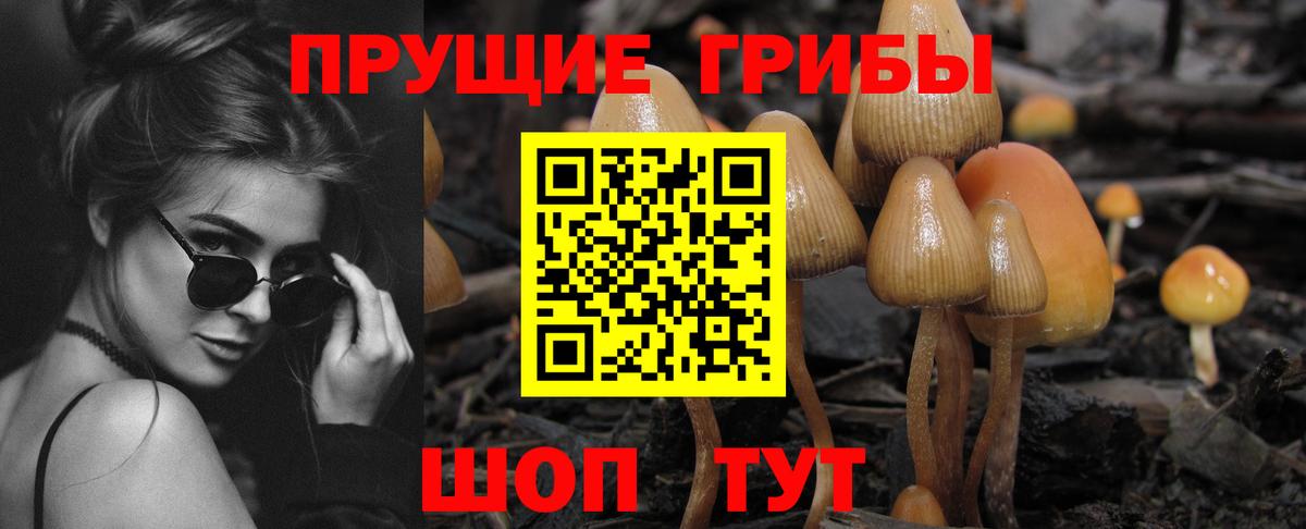 Галлюциногенные грибы Magic Shrooms Азов