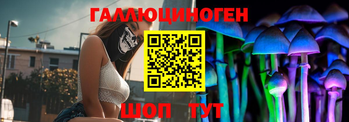 Азов  Псилоцибиновые грибы Psilocybe  Вход с VPN 